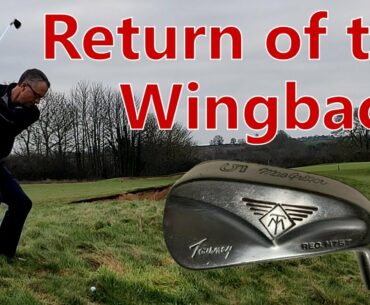 MacGregor Tourney MT "Wingback" irons.  #golf