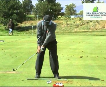 Nick Faldo Golf Swing FO Normal & Frame By Frame