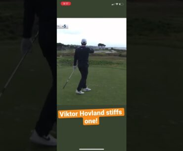 Viktor Hovland stiffs one! #viktorhovland #golf #shorte