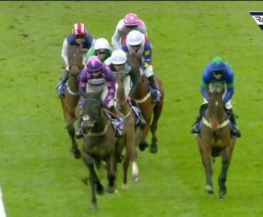 Smart hurdler! RUBAUD wins the Grade Two Dovecote Novices’ Hurdle - Racing TV