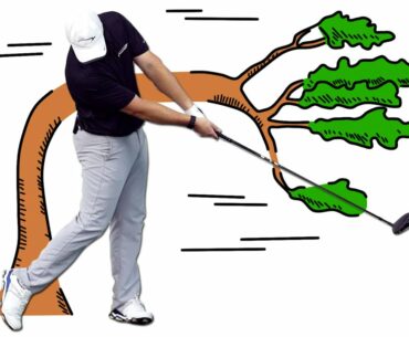 This “Swinging Tree” Drill is The Simple Way to Hit Your Driver Straight