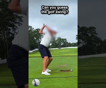 Can you guess the golf swing?