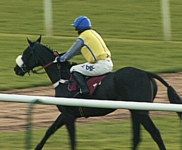 ASTONISHING! Horse stops to a walk mid-race but somehow still wins at Haydock! 🤯