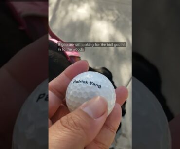 Found In the Woods: Mr Yang's Callaway Chrome Soft