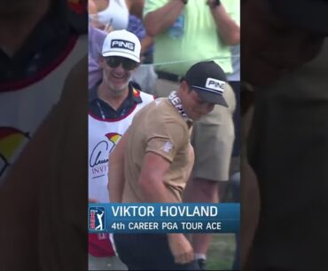 🚨 Viktor Hovland cards fourth ACE of his career!! 🏌️‍♂️