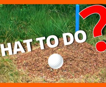 Blue stakes on the golf course | Golf rules