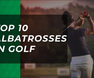 Top 10 Albatrosses of All-Time