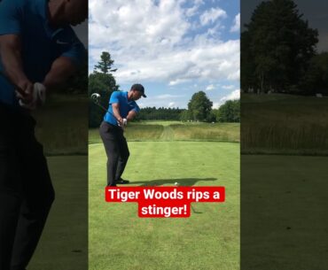 Tiger Woods rips a stinger! #tigerwoods #golf #tomgillisgolf