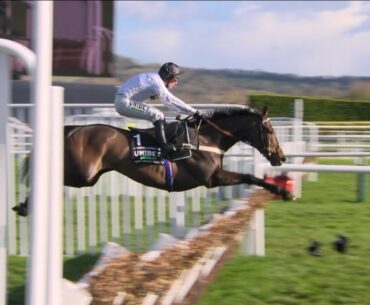 CONSTITUTION HILL is pure perfection as he runs away with the 2023 Champion Hurdle