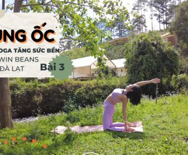 Ocmama Yogarden | Chuỗi Yoga tăng sức bền cùng Ốc ở Twin Beans Đà Lạt | Bài 3