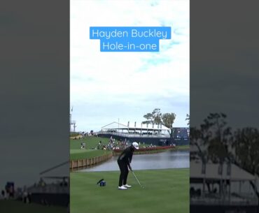 Hayden Buckley makes hole-in-one at par-3 17th hole #golfswing #holeinone #golfer #golflife #shorts