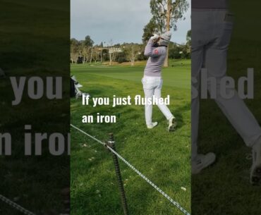 Matt Fitzpatrick flushes an iron while rocking the pompom hat. #golf #pga #shorts