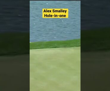 Alex Smalley Hole In One At the Players #golf #holeinone #shorts #golfswing