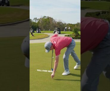 Can Trevor Immelman fix Frankie’s putting?