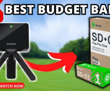 Best Budget Ball In Golf? NEW 2023 Seed SD-01 Golf Ball Review