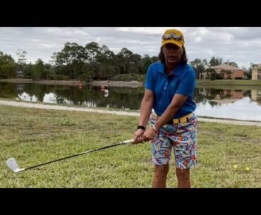 Hands and Arms in the Golf Swing ￼