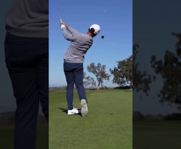 Xander Schauffele Golf Swing #golf #shorts