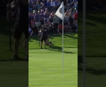 IMPOSSIBLE to hit a better flop shot! 🔥