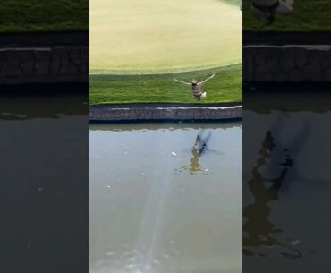 Streaker WM Open Bellyflop 🤣🤣 #shorts #golf #wastemanagement #pga #tiger