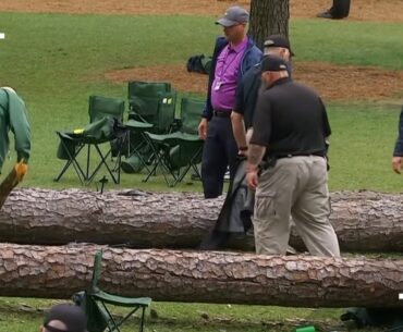 Tree FALLS on Masters at Augusta course! LUCKILY there were NO injuries