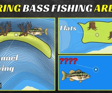 These Fishing Areas Hold Bass All Spring Long