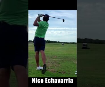 ニコ・エチャバリア Nico Echavarria