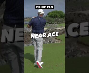 Ernie Els near ace  🏌🏼