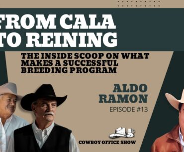 From Cala to Reining: The Inside Scoop on What Makes a Successful Breeding Program