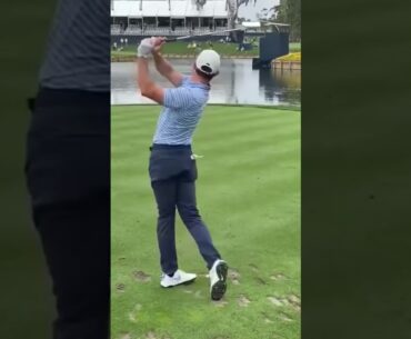 Rory Mcilroy vs Fan in 2020 at The Players! #shorts #pga #golf #goodgood #sports #rorymcilroy