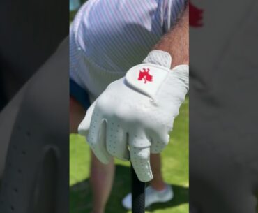 Sneak Peek: The Sussex - Super Premium Golf Glove by Red Rooster Golf