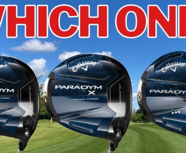 Discover the Paradym Driver That Will Transform Your Game!