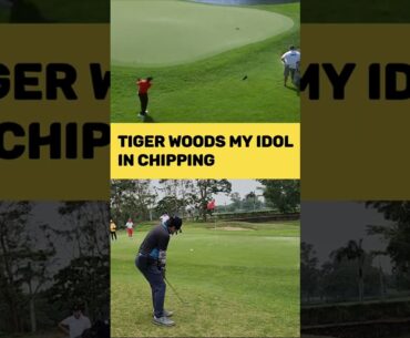 Tiger Woods My Idol in Chipping #shorts #golf