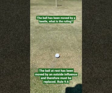 BEETLE Moves Ball at Rest - Golf Rules Explained
