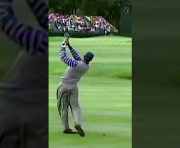 PUREST swing from Tiger Woods! 🔥