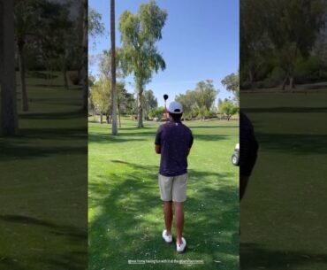 Max Homa Breaks A Tree Branch