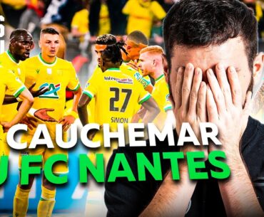 LE CAUCHEMAR DES NANTAIS ..🐥 😱