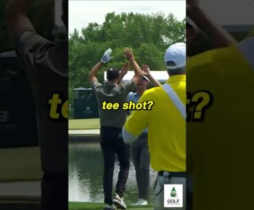 Mark Hubbard's Perfect Shot  Third Ace on TOUR at Wells Fargo Golf #Shorts