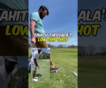 Trying out PGA Sahith Theegala Chipping lesson! #shorts #golf #golfswing