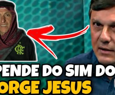 BOMBA!!! MAURO CEZAR AFIRMA QUE O FLAMENGO VAI ATRÁS DO JORGE JESUS!!!( MAURO CEZAR PEREIRA )