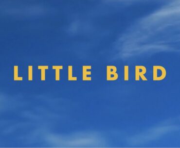 Jonas Brothers - Little Bird (Official Lyric Video)