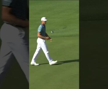 INCREDIBLE SHOT BY Billy Horschel - HOLE IN ONE shorts🏌️‍♂️⛳