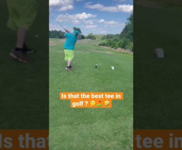 Is that the best tee in golf ? #funny #golf