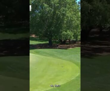 Rickie Fowler's Tee Shot Takes a Wild Bounce Off a Shoe, a Fan Assist at Wells Fargo Golf! #Shorts