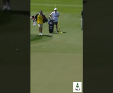 Why chip when you can do this  Sensational roll from Shane Lowry PGA Championship #Shorts