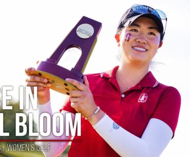Stanford Women's Golf: Rose In Full Bloom | Rose Zhang