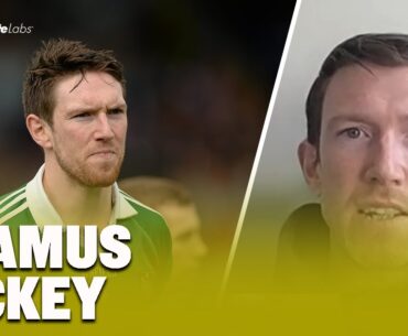 Limerick scrap for their lives | Impact of Wexford drop | Seamus Hickey