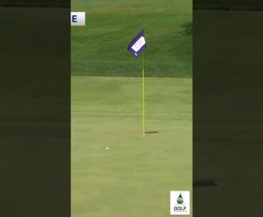 Min Woo Lee's Tap In Birdie to Enter the Red Numbers at Charles Schwab Challenge 2023 #Shorts