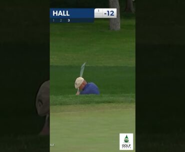 Harry Hall's Unbelievable Bunker Shot From Plugged to Holing Out at Charles Schwab Challenge #Shorts