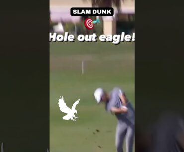 Slam Dunk Eagle  🏌🏼🦅