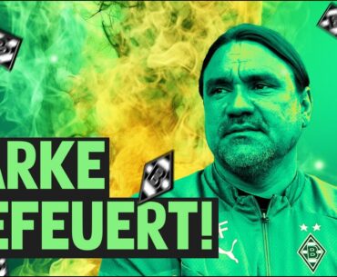 Borussia entlässt Farke!🔥Schmadtke neuer Sportdirektor?! 😡 Yashari & Prass Transfer? ⚽#borussia #vfl